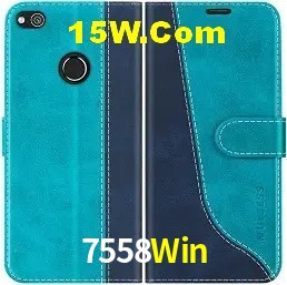 Experiência VIP 7558Win